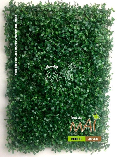 Cỏ tấm 588LC