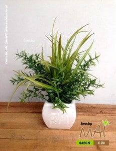 Chậu cây cỏ 642CN