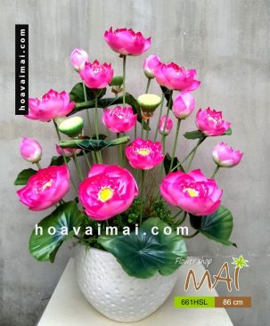 Chậu sen Thái 661HSL