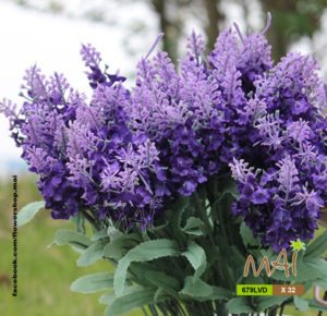 Bình tưới Lavender 679LVD