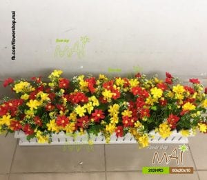 Hàng rào hoa sao nhái nhiều cỡ 282HRD