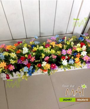 Hàng rào hoa sao nhái nhiều cỡ 282HRD