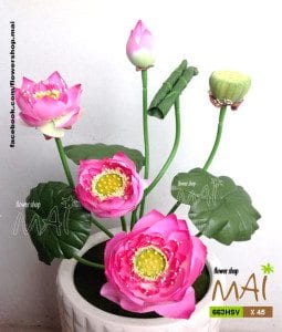 Bụi sen lụa Thái Lan cao 45 cm 663HSV