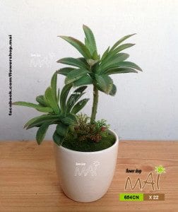 Lọ cây nhỏ 654CN
