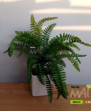 Lọ dương sỉ 656CN