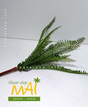Bụi dương xỉ riêng lẻ 656CN
