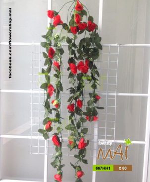 Bụi hồng rũ 667HH1