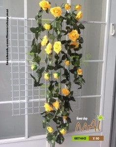 Bụi hồng rũ 667HH3