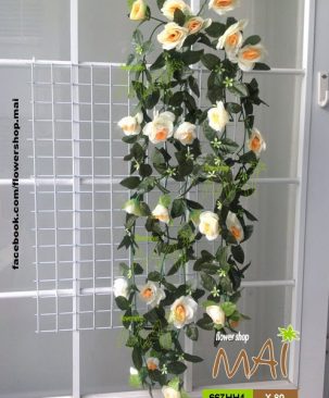 Bụi hồng rũ 667HH4