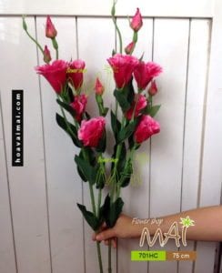 Cành cát tường 701HC