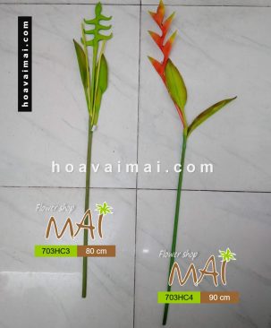 Cành chuối pháo 703HC