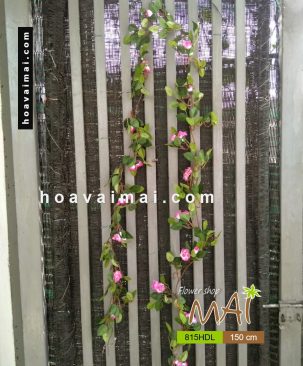 Dây hoa hồng 815HDL