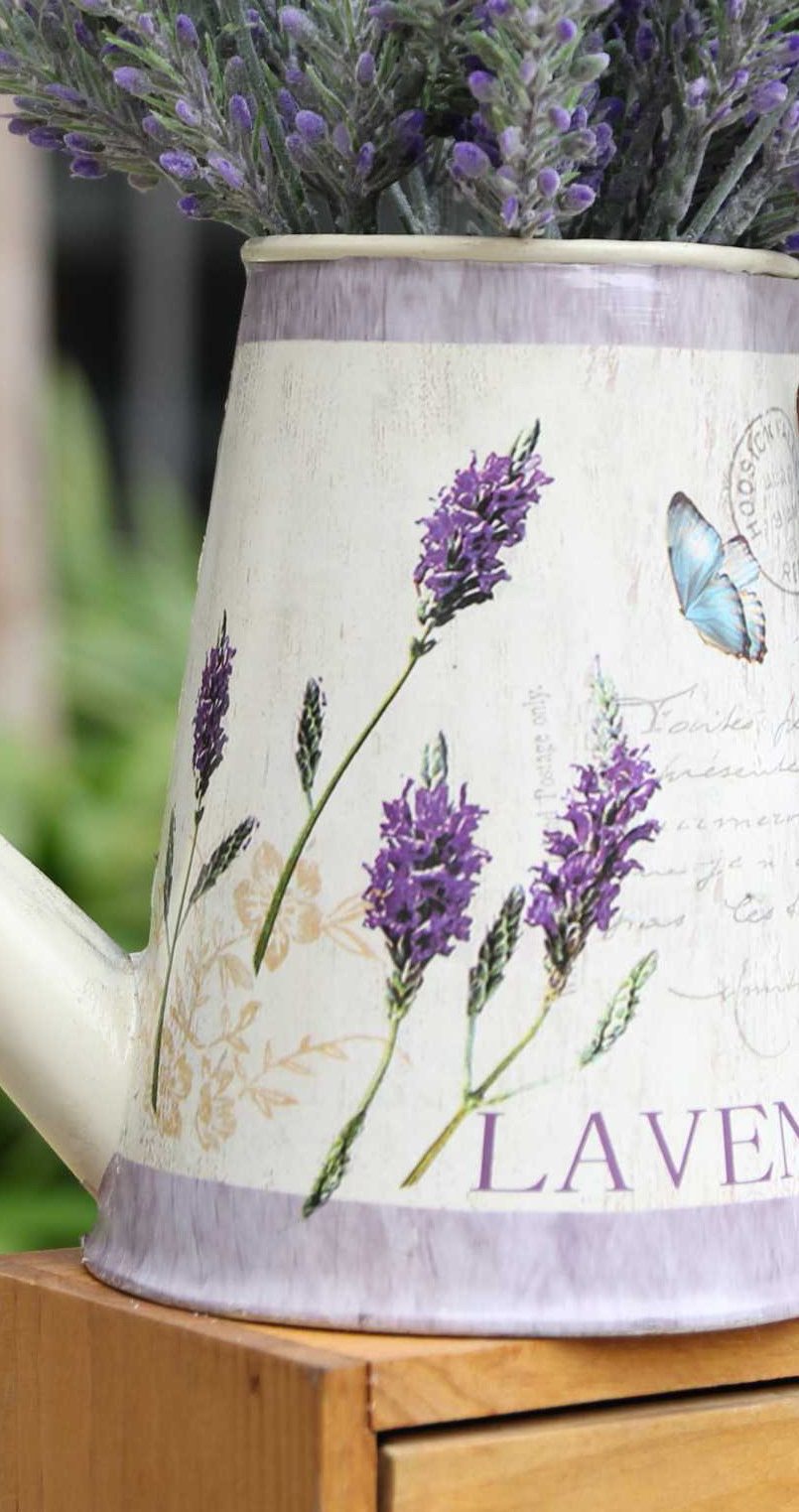 Bình tưới hoa lavender