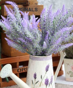 Nhiều bụi hoa lavender chụp chung trong bình tưới