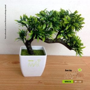 Bonsai nhỏ 659CN