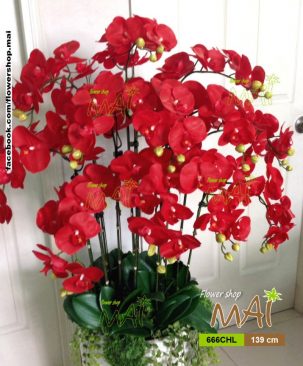 Chậu Lan cao 666CHL