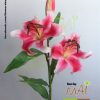 Cành Lily hồng 563HC1 - 100CM