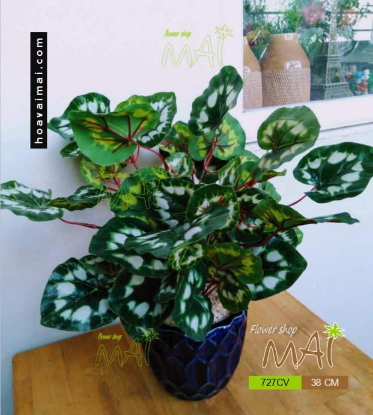Chậu cây để bàn 727CV