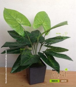 Cây trang trí 668CN
