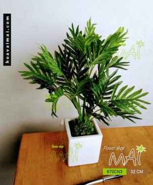 Lọ cây nhỏ 670CN3