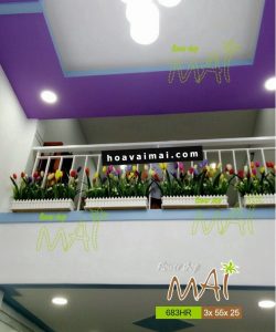 Hàng rào gỗ hoa Tulyp nhiều màu sắc 683HR