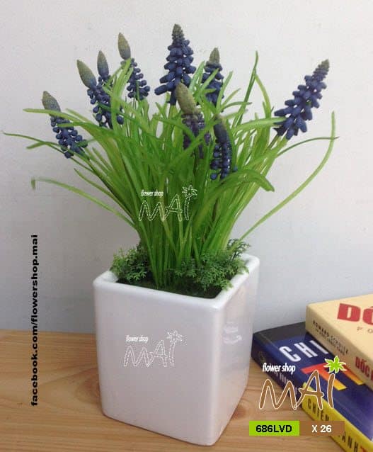 Lọ lavender 686LVD