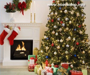 Hướng dẫn các bước trang trí cây thông Noel