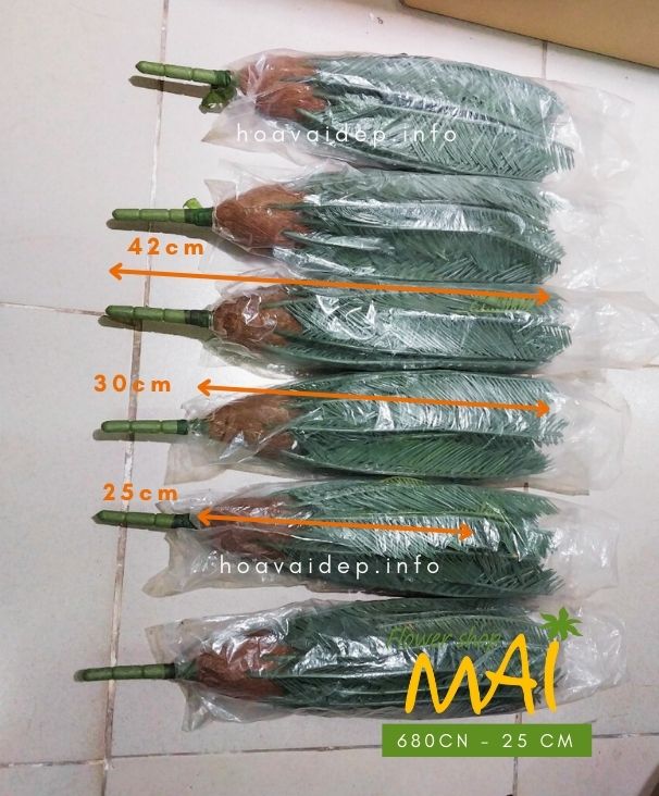 Cây thiên tuế giả để bàn 680CN - Ảnh 7