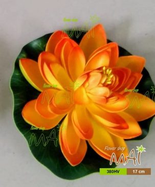 Sen nước 380HV