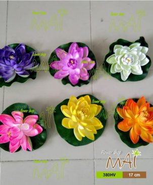 Sen nước 380HV