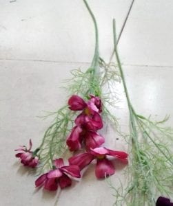 Hoa bướm 571HC