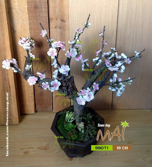 Đào bonsai 559DT
