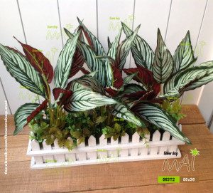 Hàng rào xanh nâu 563T2