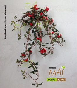 Hồng ốp tường 672HH
