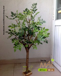 Cây xanh 1,2m 657CL8