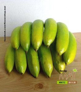 Nải chuối xanh 658TC