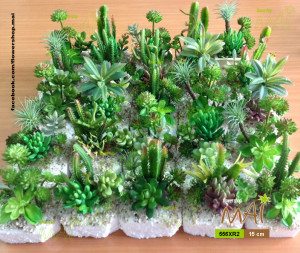 Tiểu cảnh sen đá 556RX