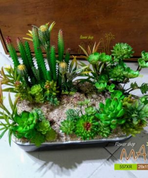 Khu vườn xương rồng nhựa sen đá giả 557XR