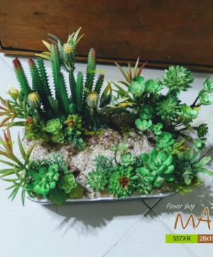 Khu vườn xương rồng nhựa sen đá giả 557XR