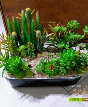 Khu vườn xương rồng nhựa sen đá giả 557XR