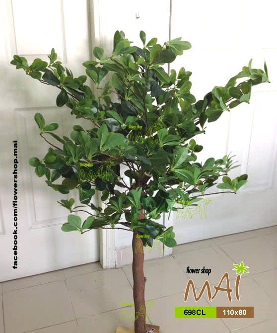 Cây xanh 1,1m 698CL