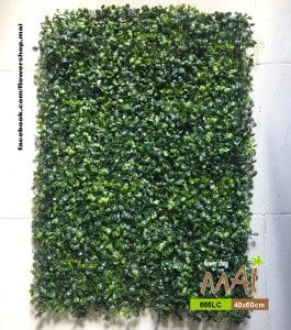 Cỏ tấm ốp xà lách xoong giá rẻ 655LC