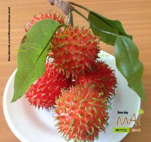 Chùm chôm chôm tróc giả 5 trái 561TC2