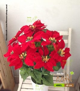 Chậu trạng nguyên 400EL