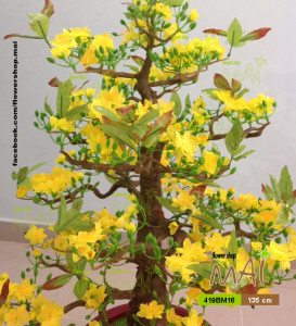 Mai Tết 419BM16 1,35m