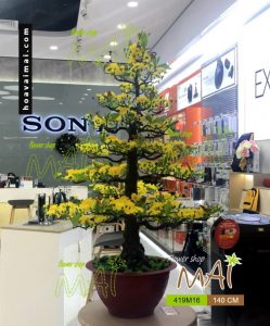 Chậu bonsai Mai Tết giả cao 1m45 419BM16