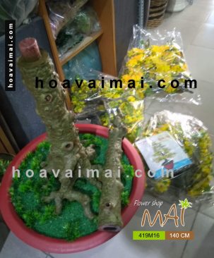 Mai Tết 419BM16 1,4m