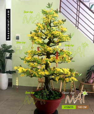 Mai Tết 419BM16 1,4m