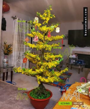 Mai Tết 1,85m 423HM8