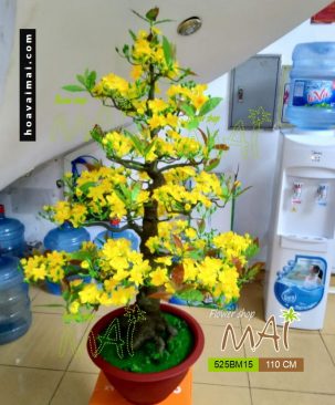 Chậu Mai bonsai giả chưng Tết 1m1 525BM15
